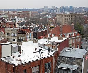 White, Green or Black Roofs? Berkeley Lab Report Compares Economic Payoffs
