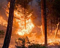 Two more bodies found at sea after Greek wildfires