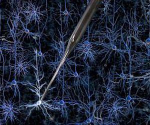 Robot reveals the inner workings of brain cells