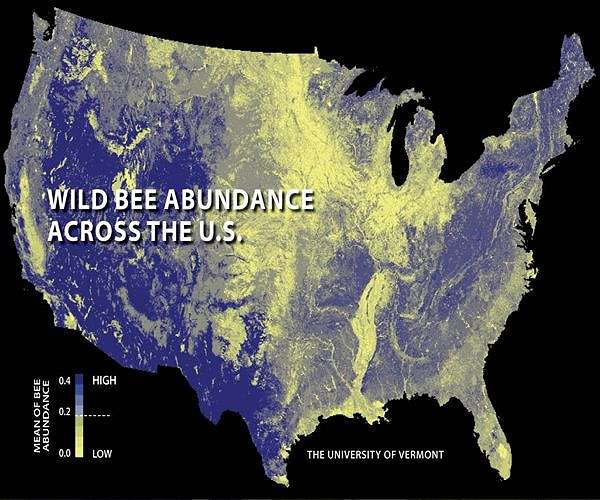 Farmers should share burden of cultivating wild bees, researchers say
