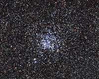 Aging a Flock of Stars in the Wild Duck Cluster
