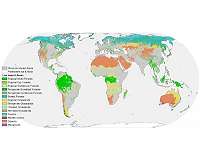 Much of the Earth is still wild, but threatened by fragmentation