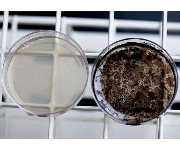 NRL ISS Mission seeks new bioinspired materials