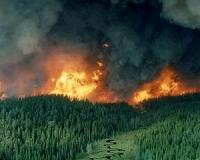 Wildfire season spreading: study