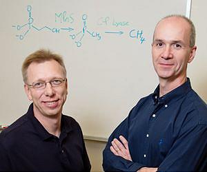 Study identifies prime source of ocean methane