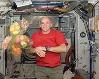 Russia Launches Fresh Fruit, Oxygen to Crew on ISS