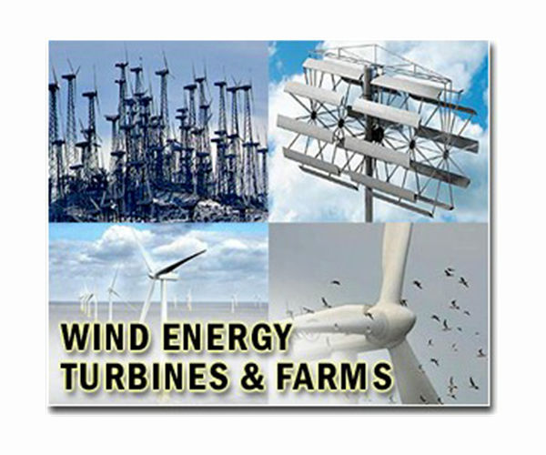 Wind project near S.African elephant park riles activists