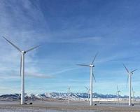 Oil-rich Alberta sees momentum for wind energy