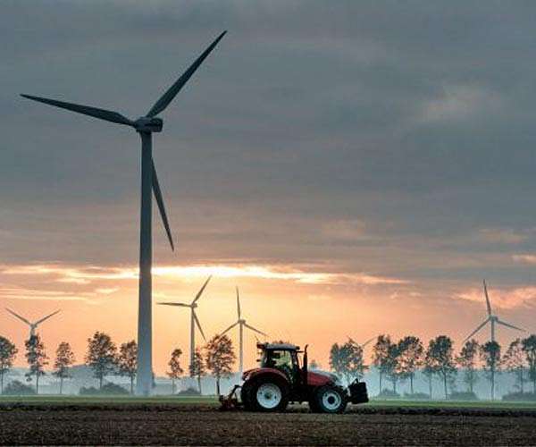 Australia crop output bounces back as rains ease drought