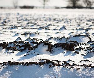 Scientists uncover the secret life of frozen soils
