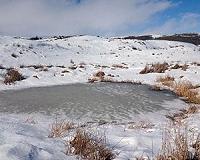 New technique tracks 'heartbeat' of hundreds of wetlands