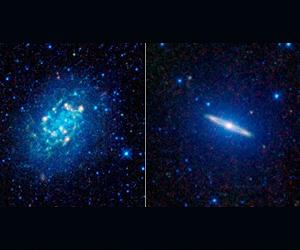 A Galaxy For Everyone
