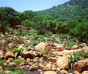 Oldest Water On Earth
