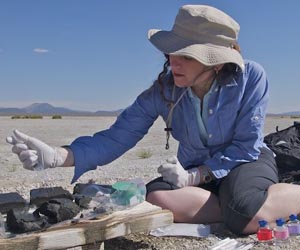 NASA's arsenic-eating life form gets a second look
