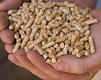 Germany touts wood residue, straw and sour milk as biofuel sources