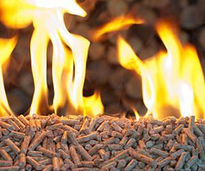 Companies could make the switch to wood power