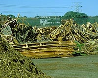 Major Report Released At Bioenergy Australia 2009