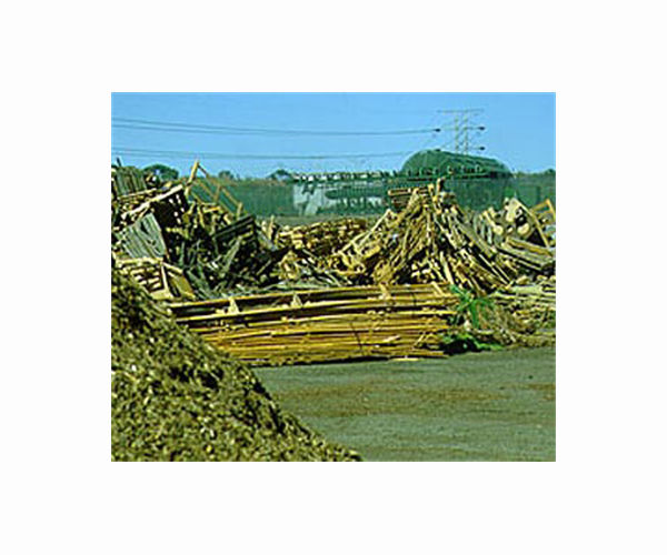 UK power firm to pay fine over inaccurate data on wood