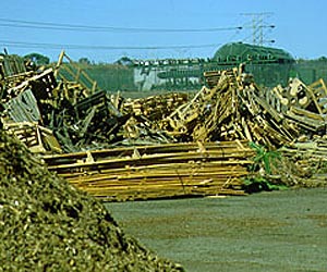 Global Municipal Solid Waste Continues to Grow