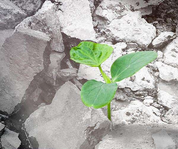 Building blocks? Cutting pollution from steel, concrete and aluminium