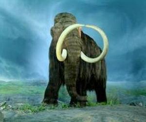 Woolly mammoth's secrets for shrugging off cold points toward new artificial blood for humans
