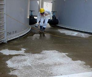 Fukushima water leak risk exaggerated: Japan watchdog