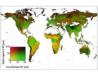 Climate 'carbon budget' soon maxed out: study