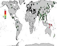World map of Neanderthal and Denisovan ancestry in modern humans
