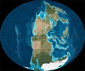 10 million years to recover from mass extinction