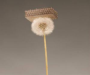 Multidisciplinary team of researchers develop world's lightest material
