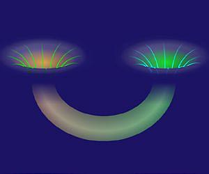 'Spooky action' builds a wormhole between 'entangled' particles