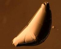 Using ultrathin sheets to discover new class of wrapped shapes