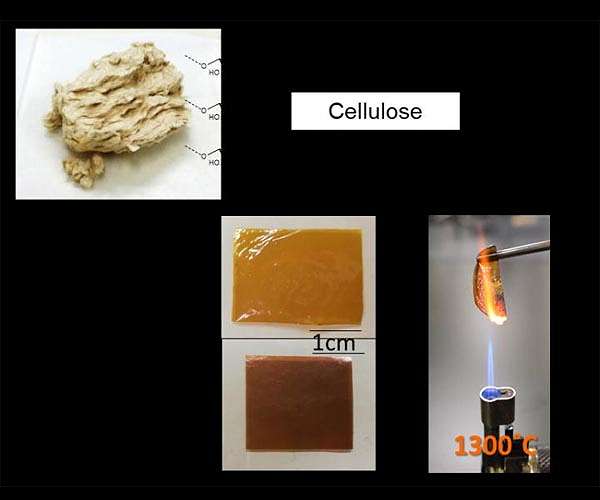 The highest heat-resistant plastic ever is developed from biomass