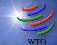 Brazil's president consulting with US, China, India over WTO
