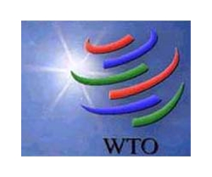 US asked to drag China to WTO over Google dispute