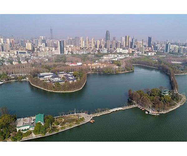 WHO team probing Covid origins in China to brief media
