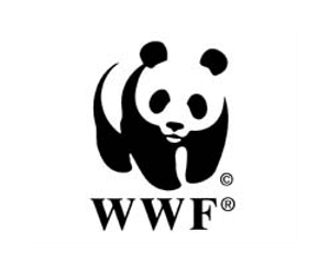 'Radical' clean energy shift could save 4 tn euros: WWF