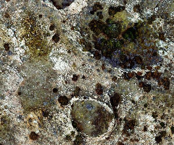 Secondary cratering on Earth: The Wyoming impact crater field