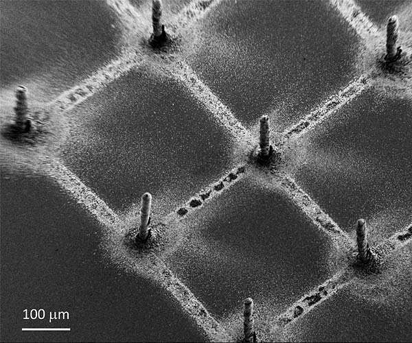 Printing perovskites on graphene makes next-gen X-ray detectors