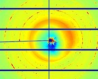 Scientists observe photographic exposure live at the nanoscale