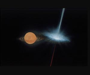 How white dwarfs mimic black holes