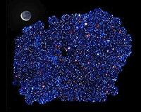 XXL hunt for galaxy clusters