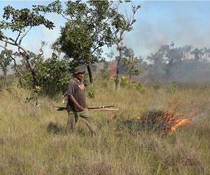 Study demonstrates that indigenous hunting with fire helps sustain Brazil's savannas