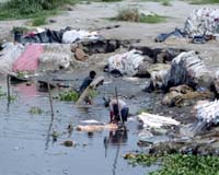 Yamuna River Still Stinks Out New Delhi Despite Massive Cleanup
