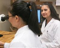 Vessel discovery a major step toward growing kidneys