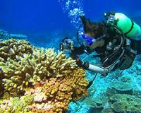 Sequencing at sea