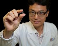 NUS scientists develop plastic flexible magnetic memory device