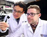 Ultra-thin multilayer film for next-generation data storage and processing