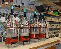Thermotolerant yeast can provide more climate-smart ethanol