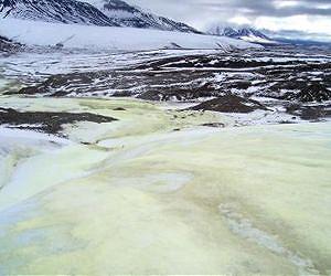 Arctic bacteria help in the search to find life on moon Europa